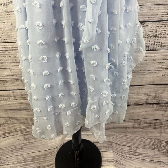 Plushe Dress Plus sz 4XL Light Blue Sheer Swiss Dots Knee A Line Wedding Church - Picture 9 of 15